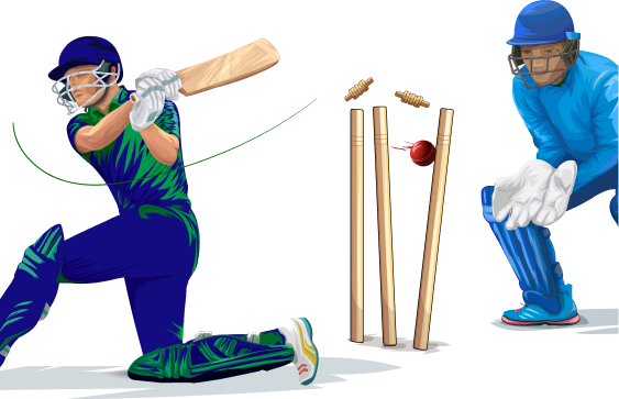 Cricket Image